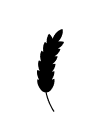 TERRITORIO