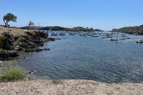 Estrella Damm se une al Centro de Estudios Avanzados de Blanes (CEAB-CSIC) para restaurar un bosque de algas en el Parc Natural del Cap de Creus, en concreto en la zona de Port Lligat (Cataluña). El proyecto, que reintroducirá algas pardas, o del género Cystoseira, concretamente la especie Gongolaria barbata, en su hábitat natural tras cuatro décadas extinta, busca devolver al ecosistema marino del mediterráneo uno de los hábitats más importantes para su diversidad y productividad. Los bosques marinos de macroalgas fucales son considerados uno de los principales formadores de hábitats por su capacidad de proporcionar estructura, alimento y refugio a diversas especies marinas, representando así uno de los ecosistemas más ricos en biodiversidad del Mediterráneo. La alianza entre Estrella Damm y el CEAB-CSIC tiene como propósito revertir la deforestación de estas poblaciones marinas, que también actúan como zona de cría y producen bienes y servicios muy valiosos para los ecosistemas globales. Estos hábitats, de los cuales se han hallado datos que confirman su presencia en la zona durante los años 80, se encuentran en una clara posición de regresión como respuesta a múltiples amenazas como pueden ser la destrucción del hábitat, la sobrepesca, la contaminación y el cambio climático. El proceso de restauración del bosque marino de Port Lligat se realiza mediante la técnica de restauración de algas formadoras de bosques marinos, un procedimiento a través del cual se espera obtener a largo plazo nuevas poblaciones viables y autosuficientes en la zona localizada. Esta técnica ha sido descrita y aplicada con éxito por el equipo de investigación MarineForest del CEAB-CSIC. Gracias a la recolección de ramas fértiles de poblaciones donantes, se obtienen nuevos reclutas (mediante técnicas in-situ y ex -situ) que, de encontrarse en óptimas condiciones en la zona a restaurar, en un par de años serán fértiles y podrán contribuir a generar un bosque autosostenible. El proyecto también pretende evaluar qué implicaciones va a